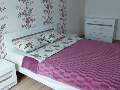 Хороша 2кімн після ремонту в центрі Житомира Житомир