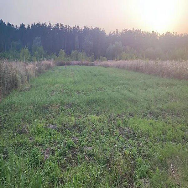 Продаж земельної ділянки с. Залізне (Васильківський р-н) - фото 1