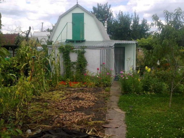 Дача в смт. Власівка, Кіровоградська обл., Світловодський р-н - фото 1