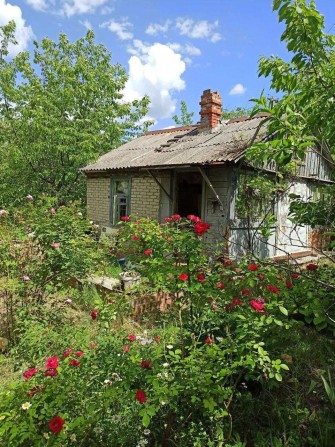 Домик с большим участком в садовом товариществе - фото 1