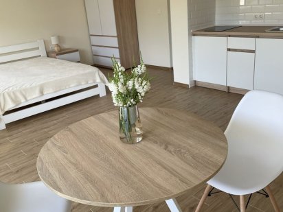 Новенька квартира подобово біля термальних вод «Закарпаття» Берегове