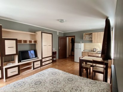 Квартира студія подобово Мукачево