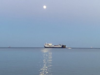 Сдам дачу на берегу моря Черноморск