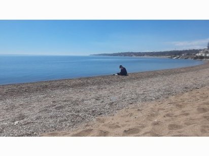 Сдам ВЕСЬ  домик на море. Черноморск