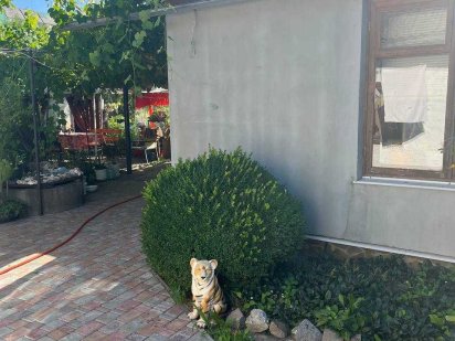 Сдам 2 дома!От Собственника! 5 мин.до Курорта.Wi-Fi,бойлер,Зона отдыха Миргород