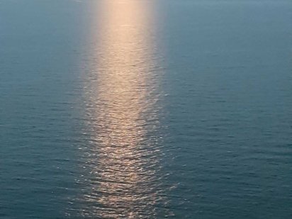 Здам дім біля моря в Одесі, Совіньйон Одесса