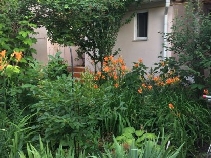 Сдам домик возле моря Одеса