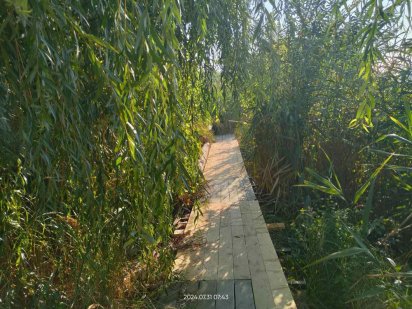 Дом/Зеленый двор/Беседка/Море в пешей доступности Одесса