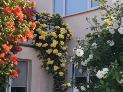 авторский дом фонтан аркадия котеджа , подобово Вид на море Одесса