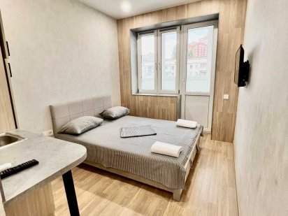 Квартира 1к новый ремонт пр. Победы 1 м Вокзал м. Университет Киев