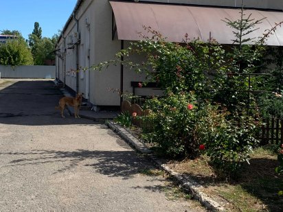 Виробнича промбаза Полтава