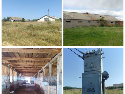 Продаж. Тваринницька ферма. Траса Житомир Київ. Можливий обмін/оренда. Житомир