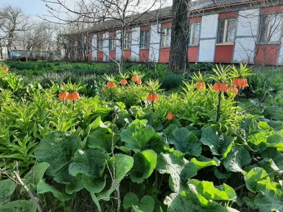 Продаю базу отдыха или усадьбу Одеса