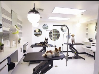 Сдам в аренду действующий груминг салон. Южноукраїнськ