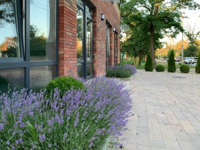 Оренда приміщення. Буча. Варшавська траса (фасад), 100 кв.м. Буча