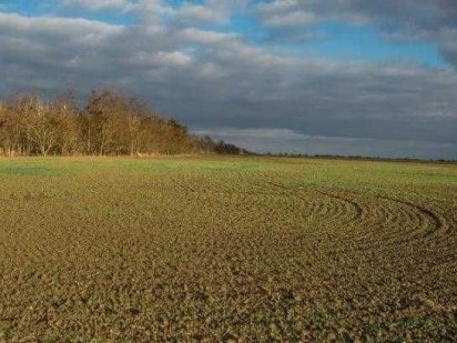 Продаж земельних паїв, 5 шт, поле 28 га Олександрія