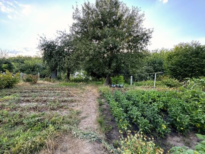 Ділянка з городом і будиночком, 6 соток Александрия