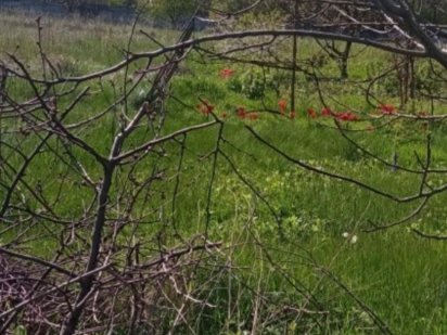 Продам земельный участок Олександрія