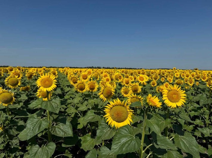 земельна ділянка 8,7 га - фото 1