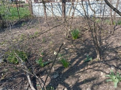 Продажам землі з будинком від власника Бердичів