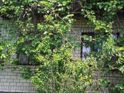 Продам дачну ділянку СТ "Сонячний" Бердичів