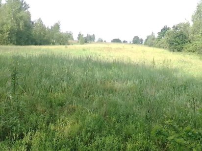 Продем земельну дiлянку Бердичів