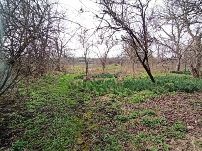 Ділянка 33сотих, газ, світло Бердичів