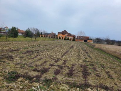 Земельна ділянка Берегово