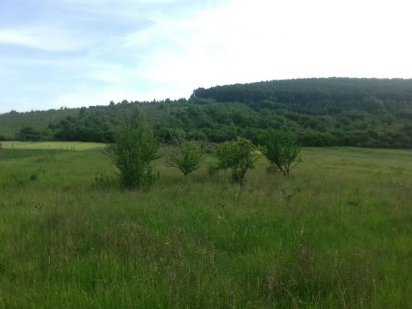 Продається земельна ділянка під забудову