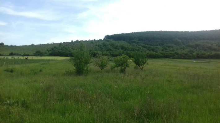 Продається земельна ділянка під забудову - фото 1