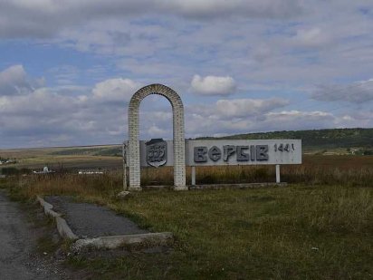 Продам земельну ділянку 25сот з старим будинком Бережаны