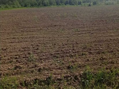 Продам земельну ділянку площею 0,86 га. в м.Борислав Борислав