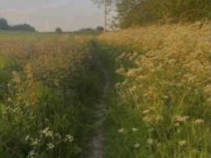 Терміново продаємо земельні ділянки Борислав