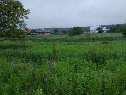 Земельна ділянка, Борислав Тустановичі Борислав