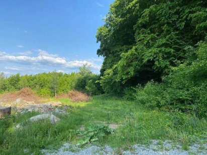 Продаю земельну ділянку Борщев