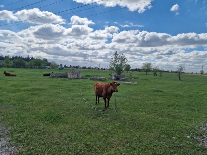 Продам участок в Елезаветовке 25 соток Кам'янське