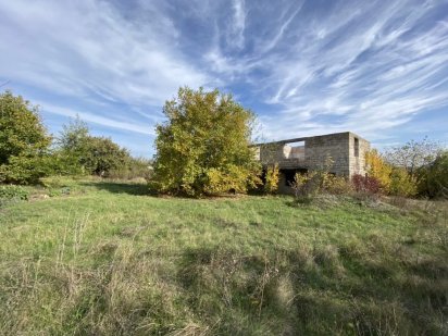 Земельный участок с постройкой Кам'янське