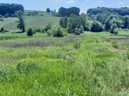 ПЛОДОРОДНАЯ земля 40 км от Киева! Васильків