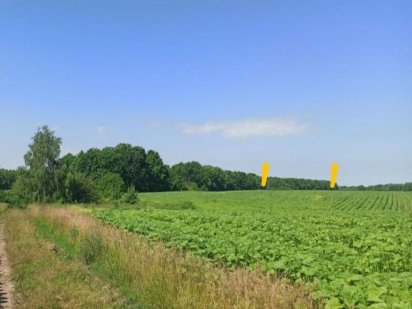 Земля 4.6га продам Васильків