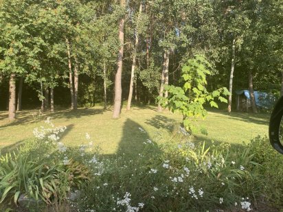 Найкраща ділянка міста 10 с. Прорізна.