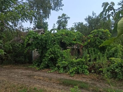 Продам дачу на соцгороде Кам'янське