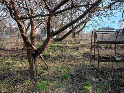 Земельна ділянка