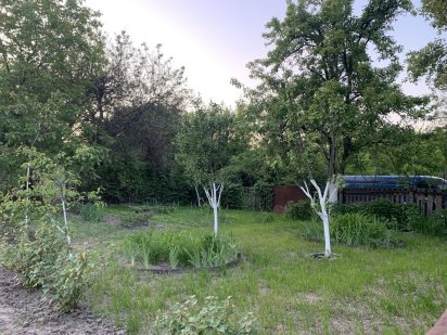 Продам дачу 10 соток Васильків