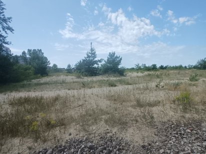 Продам 2 земельні ділянки під гараж Каменское