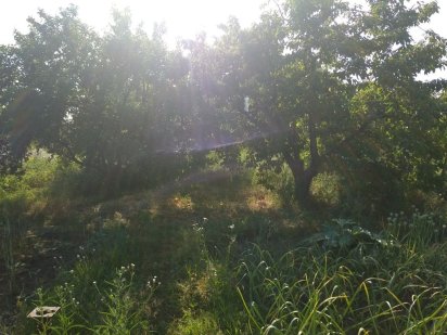 Ділянка в садовому товаристві "Дніпро-2" Власовка