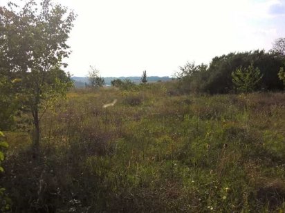 Продается видовой участок в экологически чистом месте!