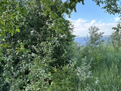 Земельна ділянка м.Вишгород Вишгород