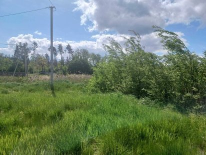 Продам земельну ділянку в Гостомелі (0,27га в саду) Гостомель