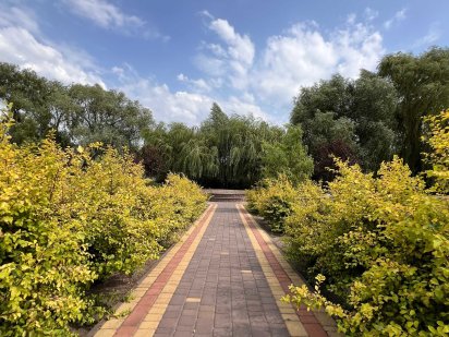 Ділянка з Фундаментом та Електрикою. Набережна. Перша Лінія від Озера Гостомель