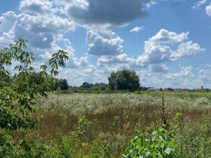 10сот під будівництво будинку Гостомель.Є ЕЛЕКТРИКА.Дорога.Буча.Ірпінь Гостомель